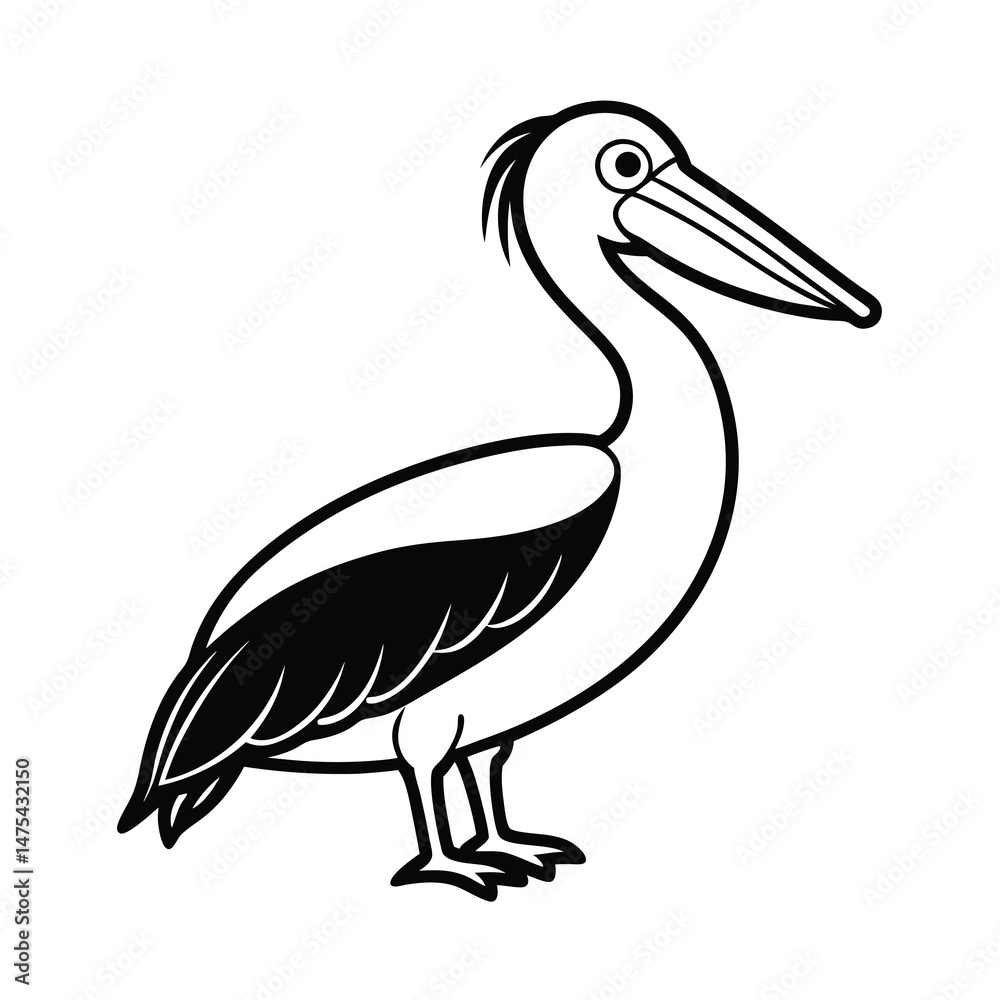 Fototapeta premium illustration of a pelican