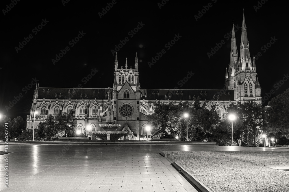 Obraz premium St Mary's Cathedral at night in Sydney