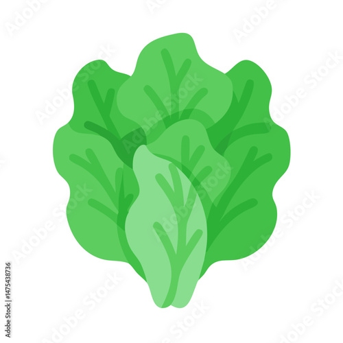 Green lettuce leaf illustration on black background
