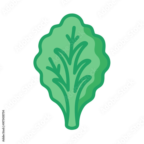 Fresh Green Leafy Vegetable Isolated on Black Background