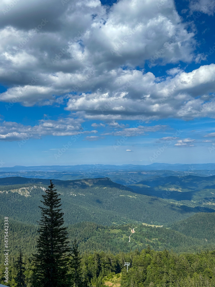 Fototapeta premium A stunning view of Ravna Planina from Mount Jahorina, with rolling green hills and rugged mountain peaks stretching into the distance.