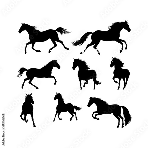 Silhouette of a Graceful Horse in Motion