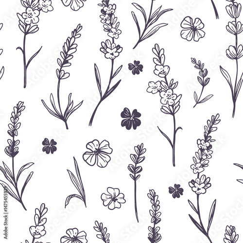 Lavender flowers vector illustration, seamless pattern, hand drawn sketch, monochrome