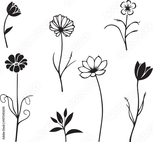 A vector silhouette image of a flowers on a white background