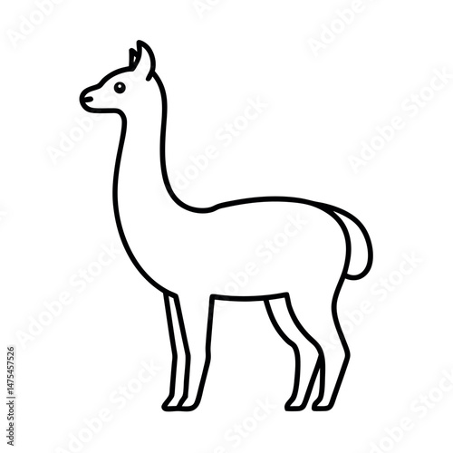 Vicuna Animal Outline Line Art Illustration