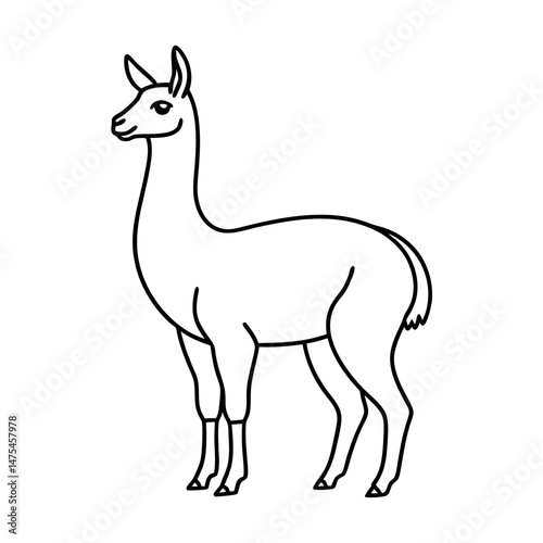 Vicuna Wildlife Outline Line Art Graphic