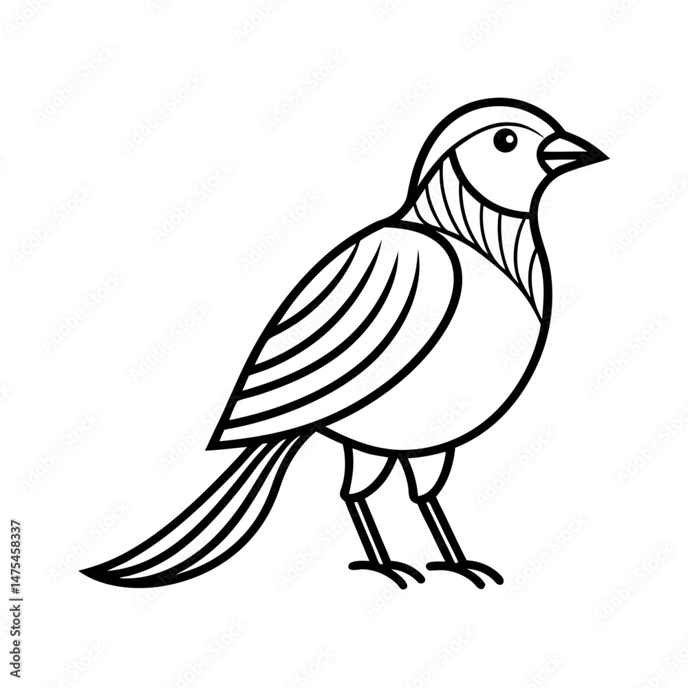 Weavers Bird Hand Drawn Art Sketch Weavers Bird Hand Drawn Art Sketch