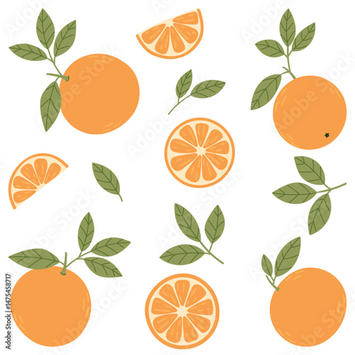 Oranges vector set. Various hand drawn oranges in simple flat style.