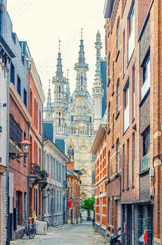 Vertical view of narrow pedestrian street of old town Leuven historical city center with Town Hall Historisch Stadhuis van Leuven Brabantine Gothic style building background, Flemish Region, Belgium