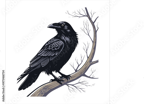 Crow Vector