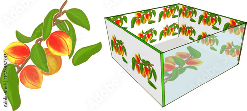3D box with apricots, volumetric color drawing, on a transparent background