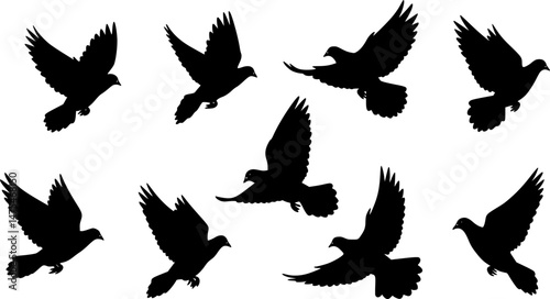 Silhouettes of flying pigeons on white background. Vector illustration.
