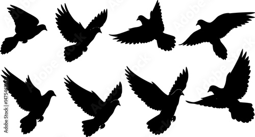 Silhouettes of flying pigeons on white background. Vector illustration.
