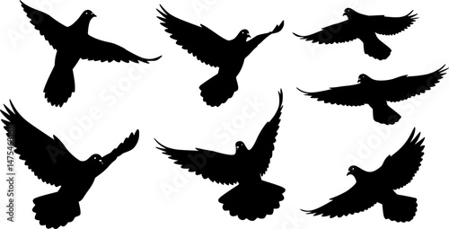 Silhouettes of flying pigeons on white background. Vector illustration.
