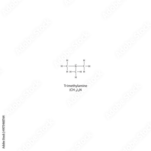 Trimethylamine Lewis structure. Simple chemical schematic illustration. Educational diagram