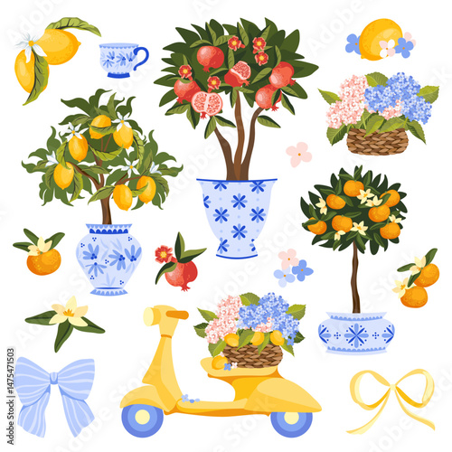 Hand drawn Mediterranean element collection with lemon, pomegranate and tangerine orange trees in decorative pots, citrus fruits and yellow scooter with hydrangea flower basket. Vector illustration.