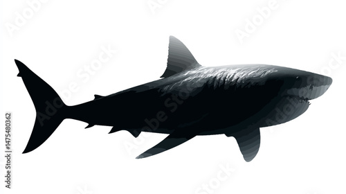 Shark underwater silhouette vector isolated on white background  -  