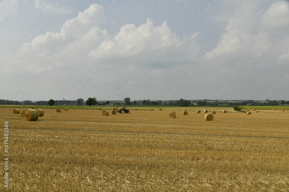 Obraz premium Ballots de pailles sous un ciel d'orage à Gibecq (Silly) 
