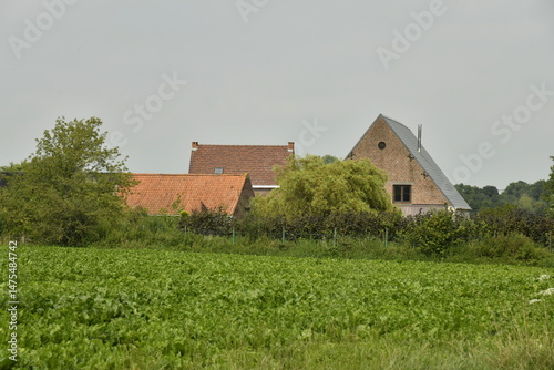 Derrière un champ de patates une grange et d'autres maisons à Hellebecq (Silly)