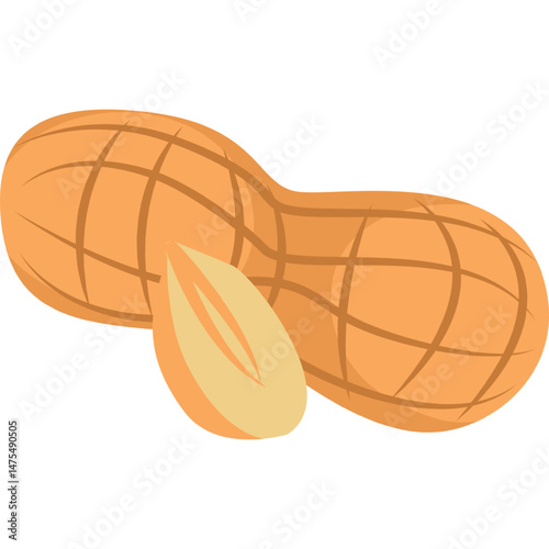 cashew nuts vector vegan food and drink icon isolated on white