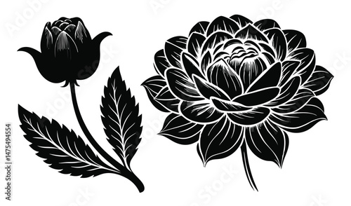 Elegant Floral Silhouette Composition: A sophisticated monochrome composition showcases a closed rose next to a blossoming flower, evoking an air of classical beauty and natural grace. 