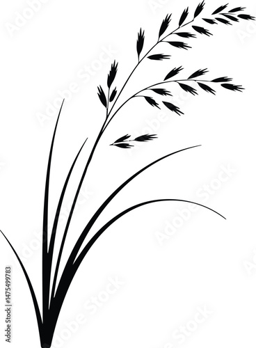 Cattails and Reeds Silhouette Set | Wild Grass Vector Icons Nature Grass Silhouettes | Cattails, Reeds, and Meadow Elements