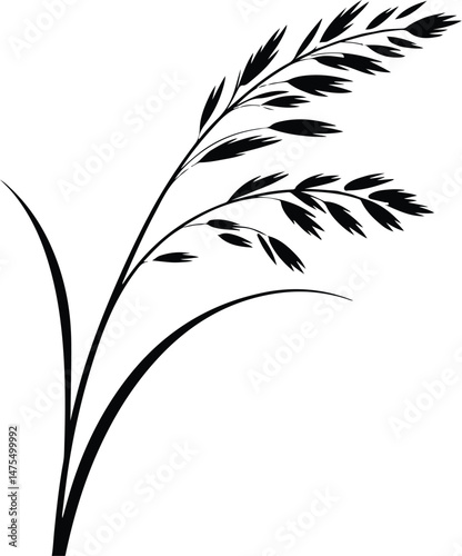 Cattails and Reeds Silhouette Set | Wild Grass Vector Icons Nature Grass Silhouettes | Cattails, Reeds, and Meadow Elements
