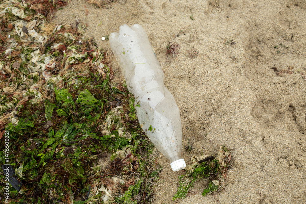 Obraz premium A plastic bottle on the beach in the sand and seaweed, which was thrown out of the sea by a storm. It spoils the ecology!