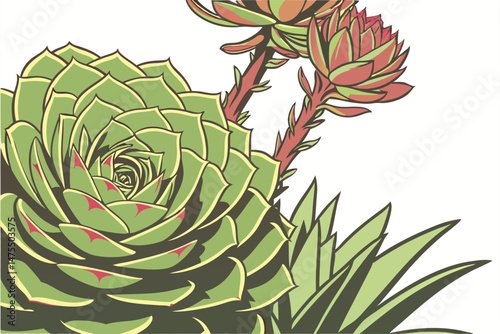 3 intricate, detailed, high resolution, macro shot, beautiful succulent plant, vibrant colors, intricate petals, close-up, lush foliage, stunning contrast, natural lighting, green tones, succulent pho