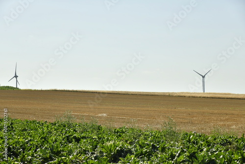 Éoliennes derrière une crête de colline dénudée à Ghislenghien (Ath) 