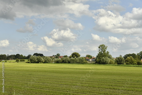 Contraste entre les zones d'ombre et sous une éclaircie sur une prairie à Hellebecq (Silly)