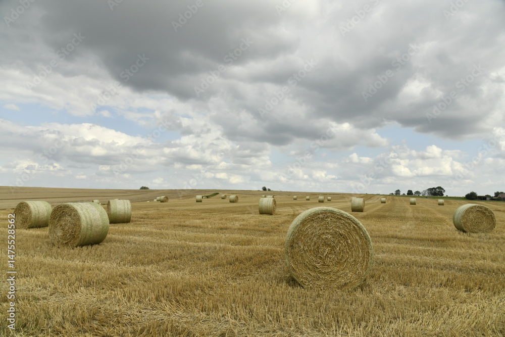 Fototapeta premium Ballots de paille sur un champ sous les nuages gris à Hellebecq (Silly)