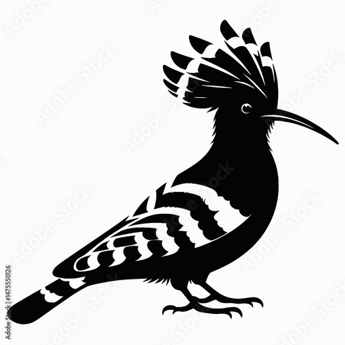  vector silhouette of a hoopoe bird with crown-like crest, standing profile, white background
