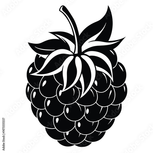This blackberry fruit features bold leaves and the distinctive spherical drupelets in black