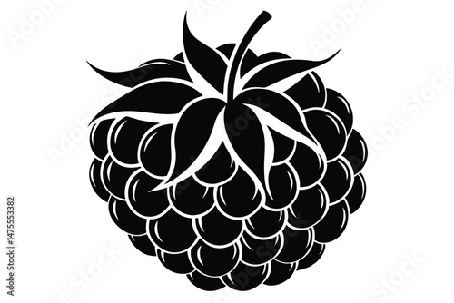 Solid black blackberry presents a simple, stylish, and elegant aesthetic impression