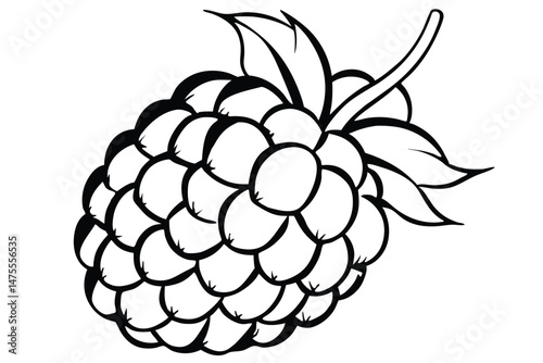 Stylized outline of a ripe raspberry with leaves creates a simple, yet elegant image