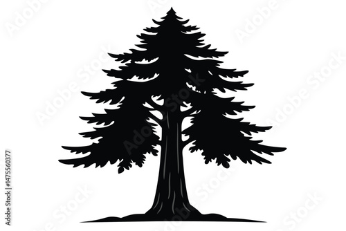 A large coniferous tree stands stately against a white backdrop in striking black silhouette