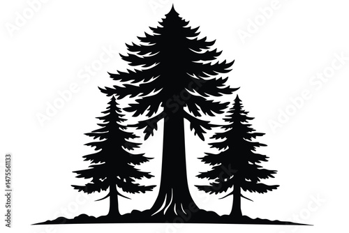 Tall evergreen tree stands proudly as two smaller trees grow beside it closely