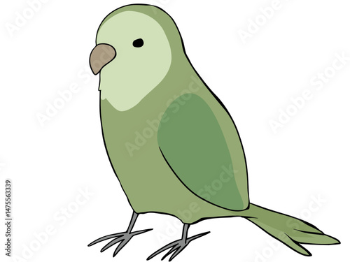 色とりどりコザクラインコ オリーブ	