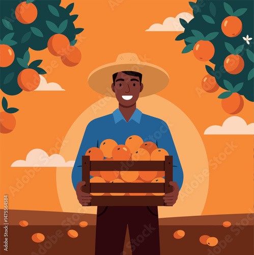 Farmer harvesting fresh oranges in orchard with sunset background vector illustration 
