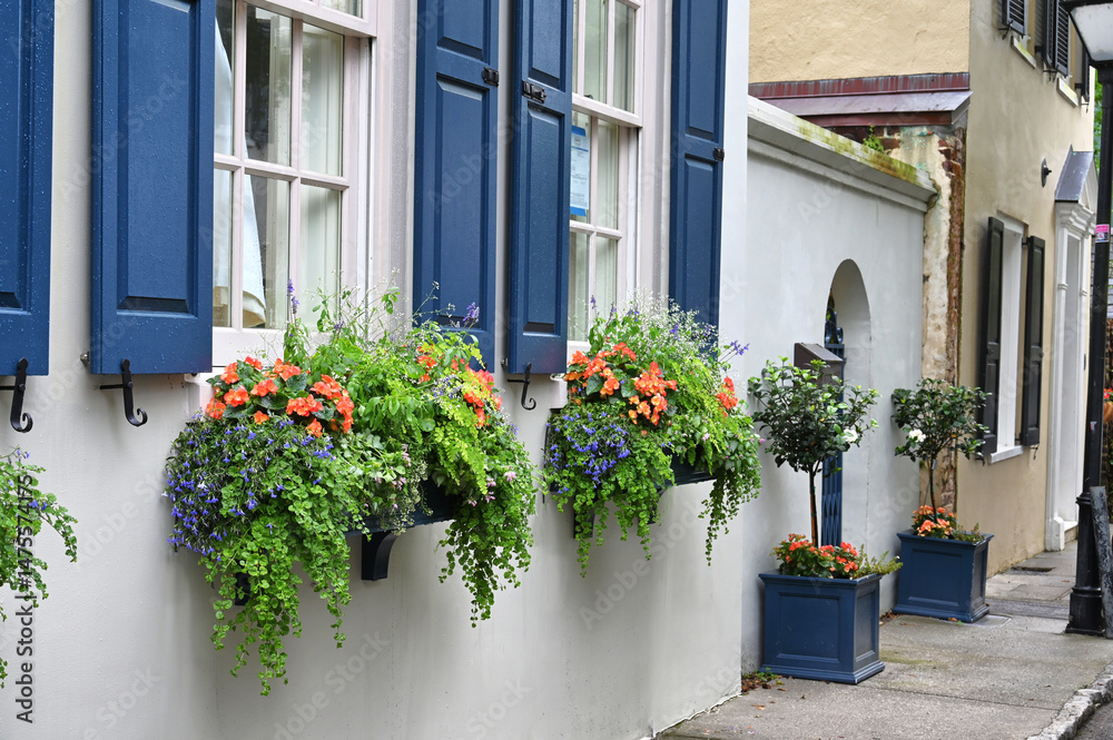 Naklejka premium Flowers in window boxes in Charleston SC