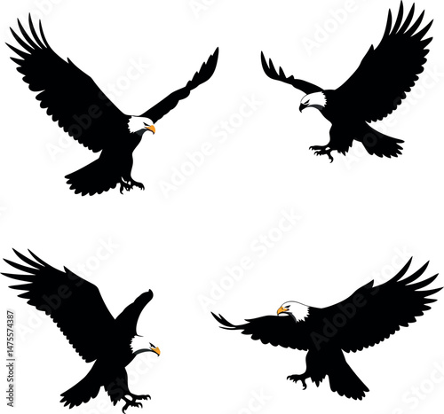 Bald eagle flying silhouette vector set with spread wings in various attack poses 