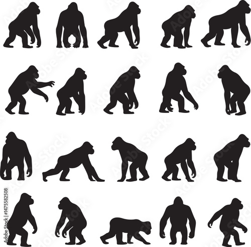 bigfoot, sasquatch, bigfoot silhouette, sasquatch silhouette, cryptid, mysterious creature, forest legend, mythical creature, wilderness, cryptozoology, bigfoot clipart, bigfoot vector, bigfoot svg, c