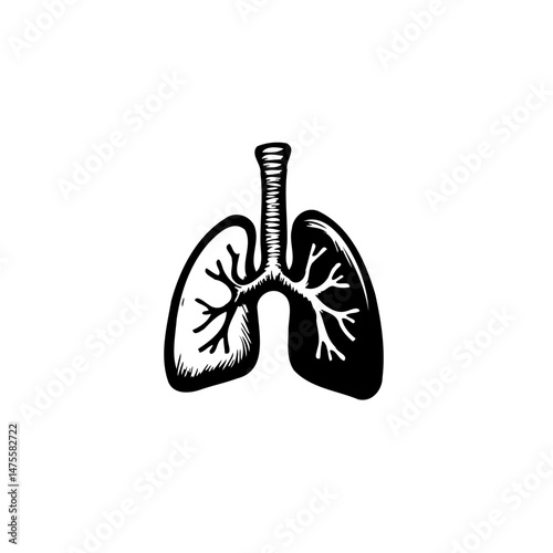 Stylized lung illustration exhibiting detailed bronchial branches and pulmonary structure