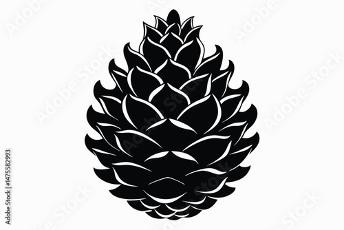 The simple black cedar cone presents its unique, monochrome texture on the white backdrop