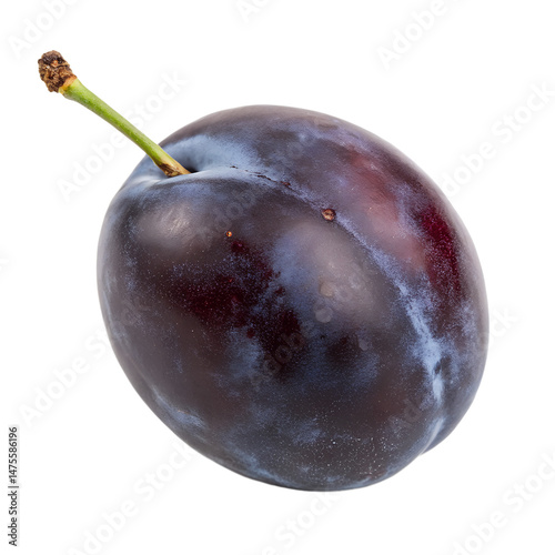 Damson Plum. Isolated on transparent background photo