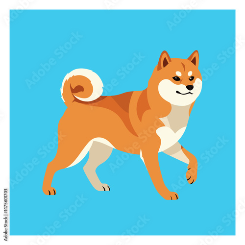 Walking Shiba Inu Flat Design Illustration