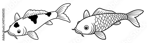 koi fish swimming vector outline illustration black and white