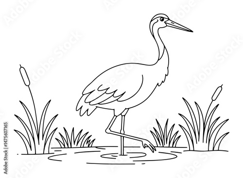 heron standing in pond among reeds vector outline illustration
