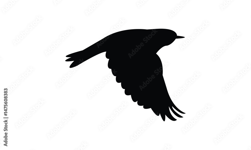 Obraz premium African yellow warbler bird Silhouette Design And Vector Illustration. 